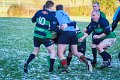 Monaghan Legends V Perennials (9)